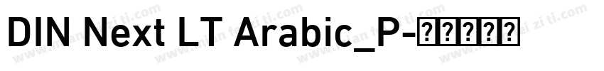 DIN Next LT Arabic_P字体转换